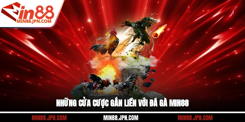 Những cửa cược gắn liền với đá gà Min88
