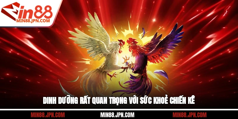 Dinh dưỡng rất quan trọng với sức khoẻ chiến kê