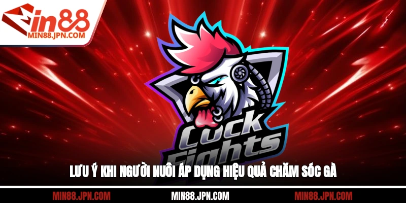 Lưu ý khi người nuôi áp dụng hiệu quả chăm sóc gà
