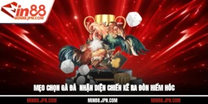 Mẹo Chọn Gà Đá - Nhận Diện Chiến Kê Ra Đòn Hiểm Hóc
