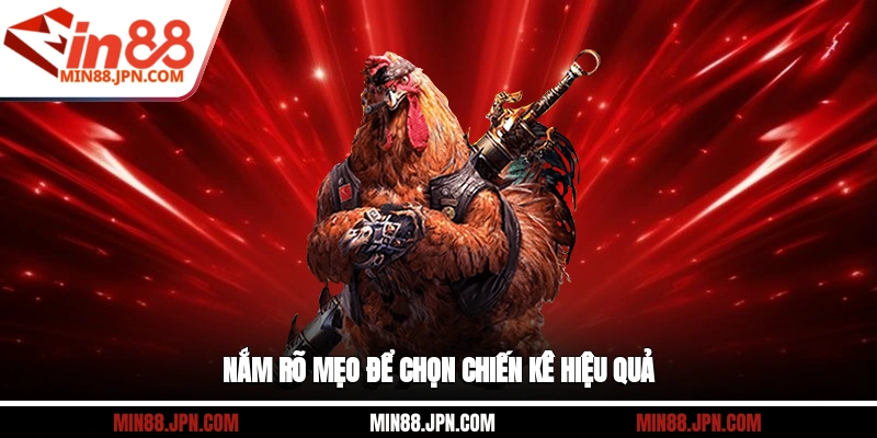 Nắm rõ mẹo để chọn chiến kê hiệu quả