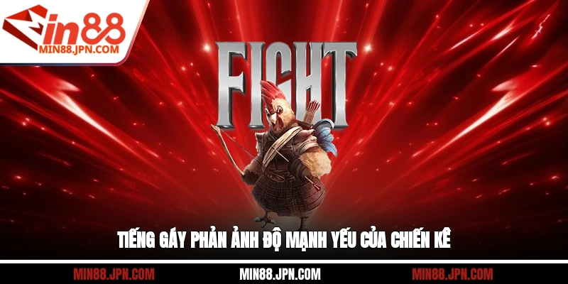 Tiếng gáy phản ảnh độ mạnh yếu của chiến kê