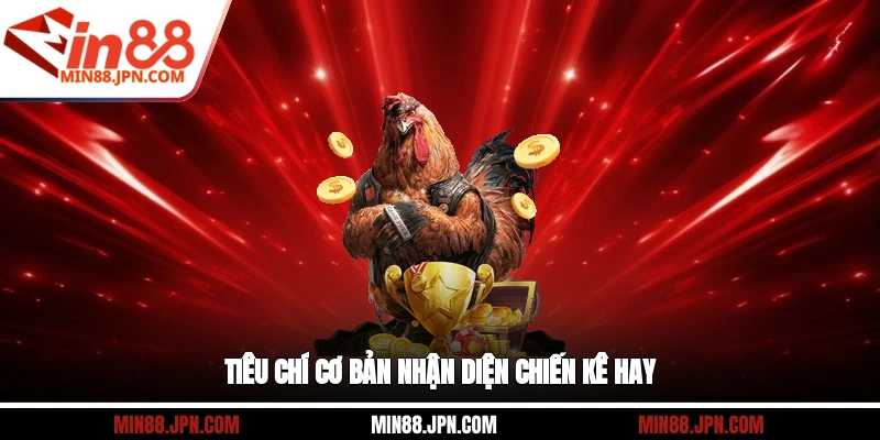 Tiêu chí cơ bản nhận diện chiến kê hay